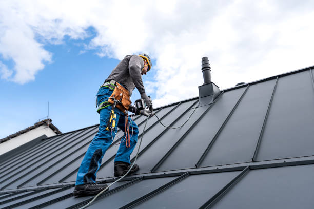 Professional Roofing service in Dana, NC